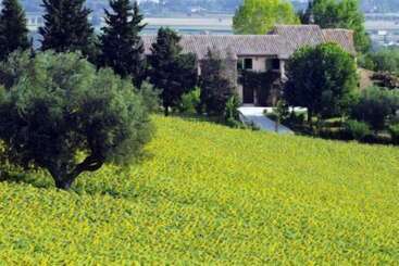 Agriturismo Ripabianca