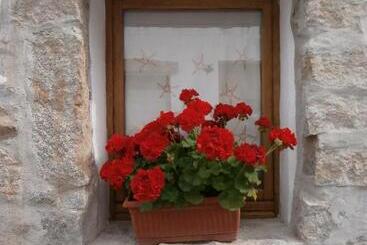 تختخواب و صبحانه Olbia Domus Inn