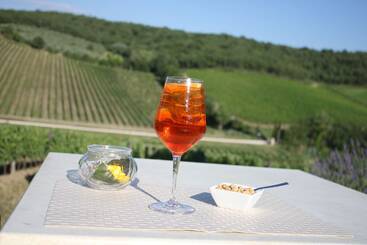 هتل Le Vigne
