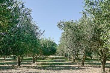 هتل Vardis Olive Garden