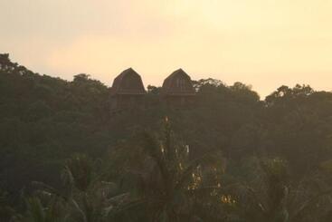 پانسیون Cocohuts