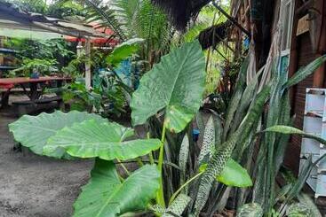 پانسیون Raices Mompiche