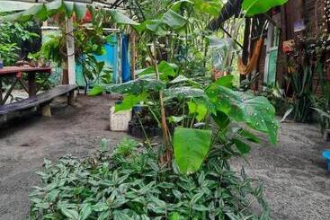 پانسیون Raices Mompiche