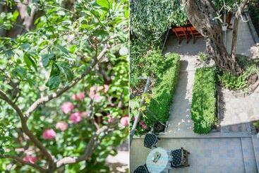 پانسیون Rooms Garden