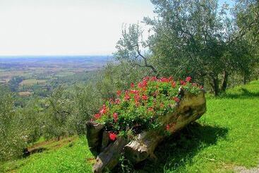 Spacious Cottage In Cortona With Swimming Pool