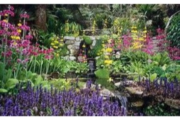 Trelawne Garden Annexe