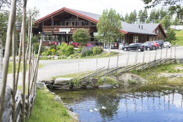Hytter Dombås