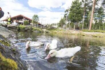 Hytter Dombås