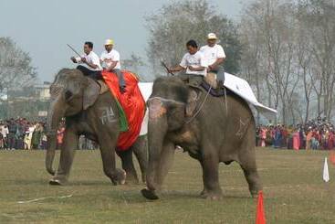 استراحتگاه Rhino Lodge &