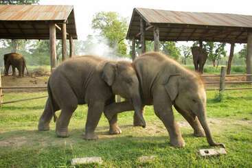 استراحتگاه Rhino Lodge &