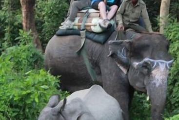 استراحتگاه Rhino Lodge &