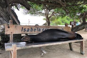 La Gran Tortuga - Puerto Villamil