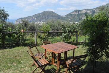 هتل Agriturismo L'olivara