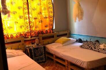 The Greenhouse Hostel Arusha Tanzania