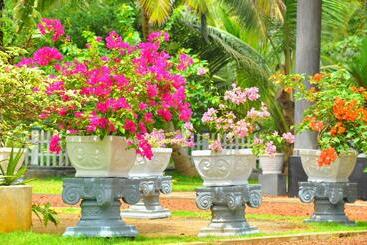 تختخواب و صبحانه Canal Villa