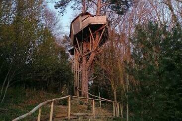 تختخواب و صبحانه Sherwood Tree