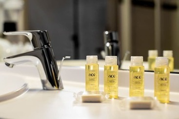Ace Hotel Riom