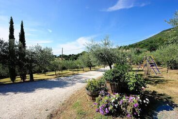 Agriturismo Colle Degli Olivi