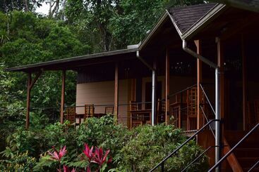 هتل Hamadryade Lodge