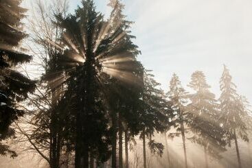 هتل Haus Oberland