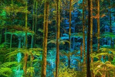 هتل Silver Fern Rotorua Suites & Spa