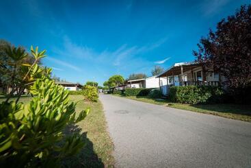 Hotel Club Del Sole Vigna Sul Mar Family Camping Village