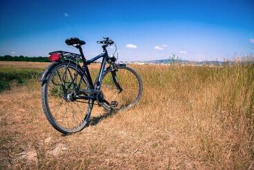 Club Del Sole Orbetello Family Camping Village