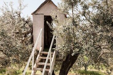 Agriturismo Podere L'agave
