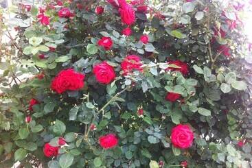 هتل Atamer Doga Resort