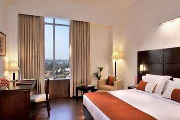هتل Comfort Inn Tulip Heights