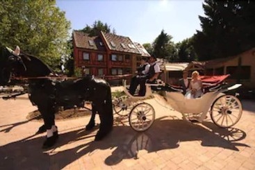 Отель Dammenmühle