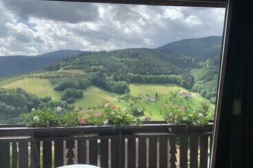 هتل Schauinsland