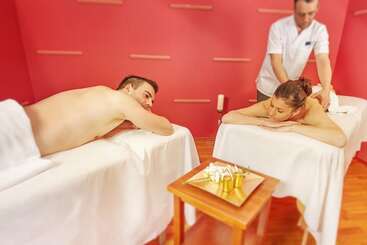 Villa Without Balcony   Hotel & Resort Adria Ankaran