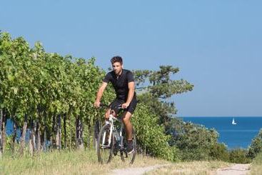 Villa Without Balcony   Hotel & Resort Adria Ankaran