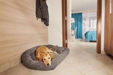 Villa Without Balcony   Hotel & Resort Adria Ankaran