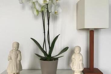 Appartement Design I   Port Du Rosmeur   Douarnenez