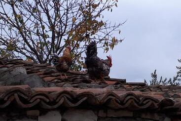 تختخواب و صبحانه Omer The Ottoman House