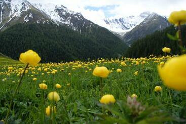 Пансион Garni Soldanella