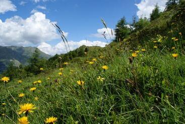 Пансион Garni Soldanella