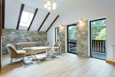 Pension Carmen`s Mansion A - Sinaia