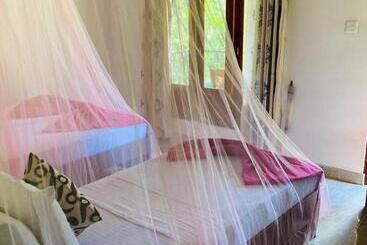 تختخواب و صبحانه Silent Nest