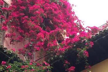 Riad El Ma
