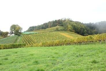 酒店 Murtenhof & Krone