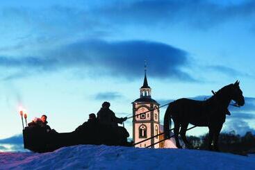 Отель Vertshuset Røros