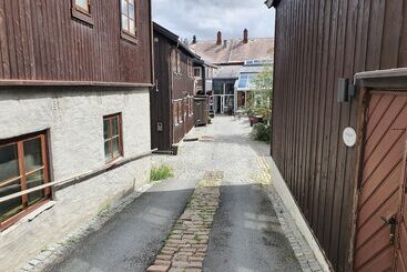 Отель Vertshuset Røros