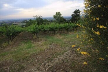 Agriturismo Gaggioli Borgo Delle Vigne