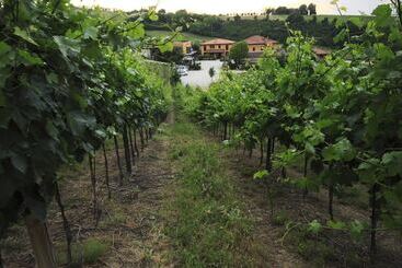 Agriturismo Gaggioli Borgo Delle Vigne
