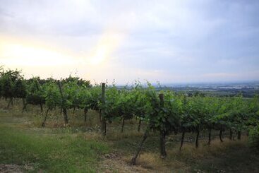 Agriturismo Gaggioli Borgo Delle Vigne
