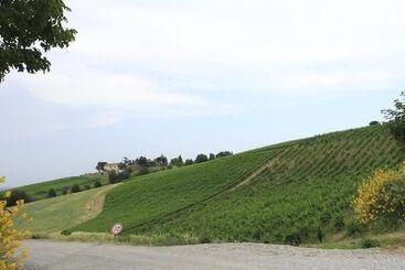 Agriturismo Gaggioli Borgo Delle Vigne