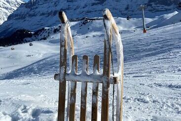 ホテル Grindelwalderhof